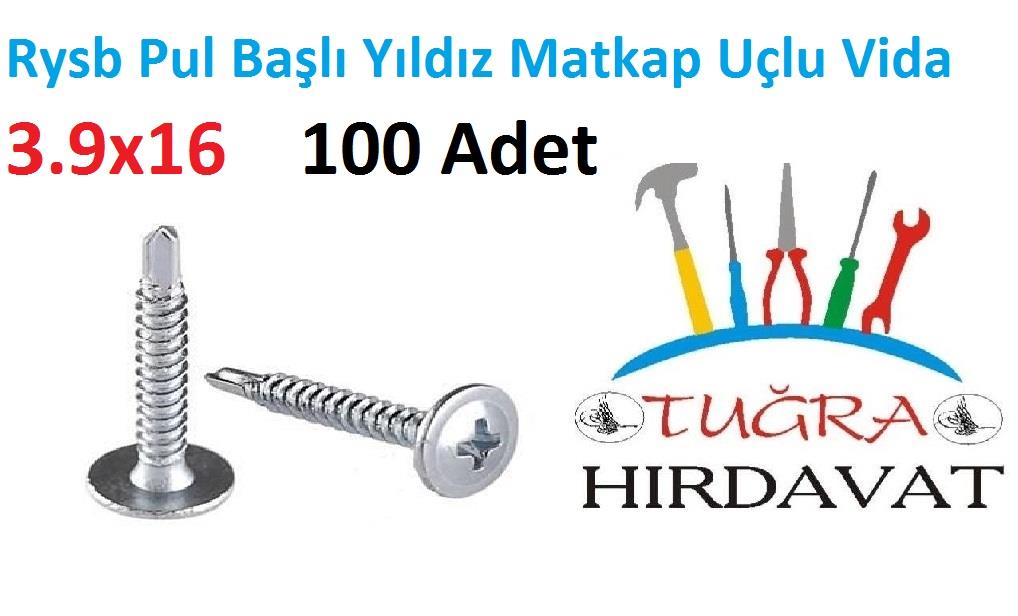 Rysb 3.9x16 mm 100 Adet Pul Başlı Matkap Uçlu Vida Otomatik Vida 