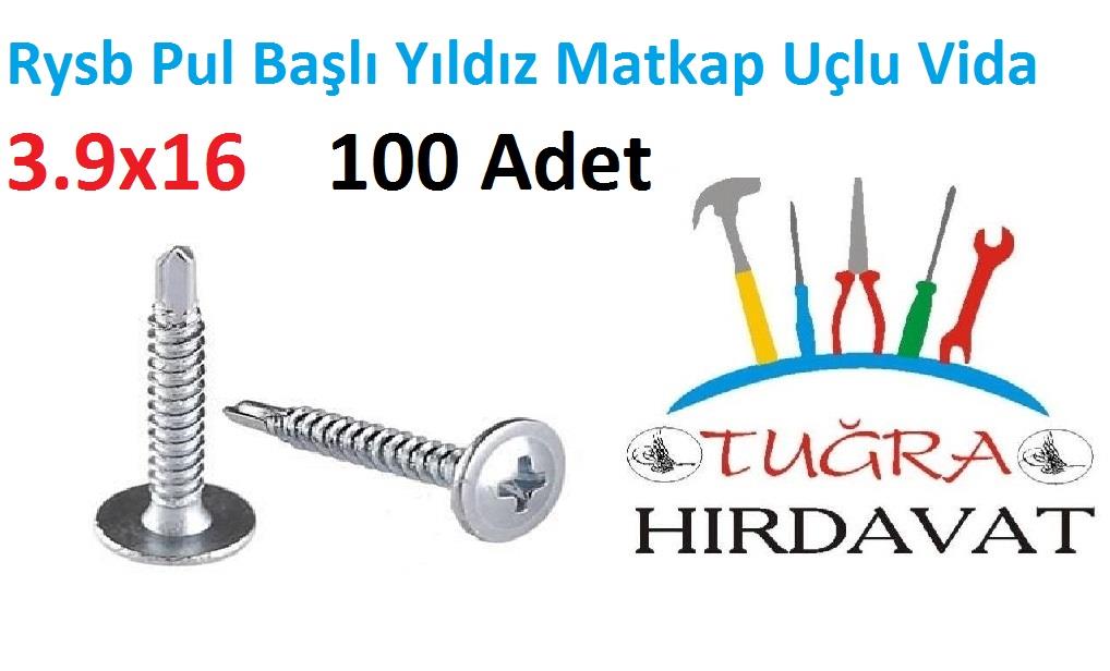 Rysb 3.9x16 mm 100 Adet Pul Başlı Matkap Uçlu Vida Otomatik Vida