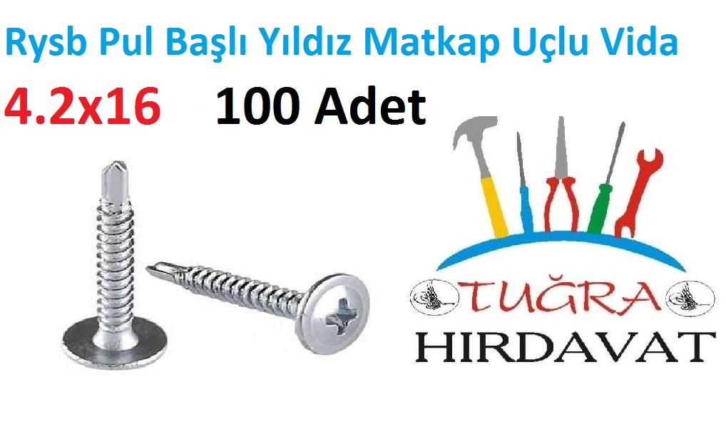 Rysb 4,2x16 mm 100 Adet Pul Başlı Matkap Uçlu Vida Otomatik Vida