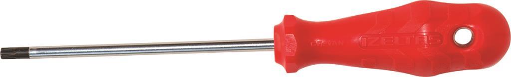 Tornavida Delikli Torx TR10 4776180010 İzeltaş